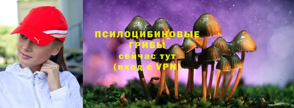 крисы Абдулино
