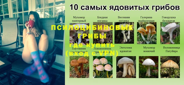 крисы Абдулино