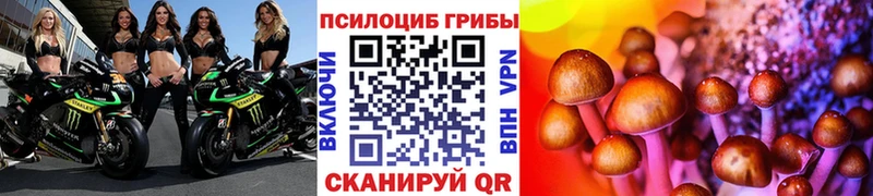 Галлюциногенные грибы Psilocybine cubensis  Тырныауз 